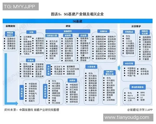 上海羽毛球队运营革新之路探索与实践全景分析