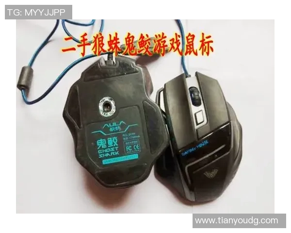 提升游戏体验的英雄联盟装备选购指南及最佳鼠标推荐