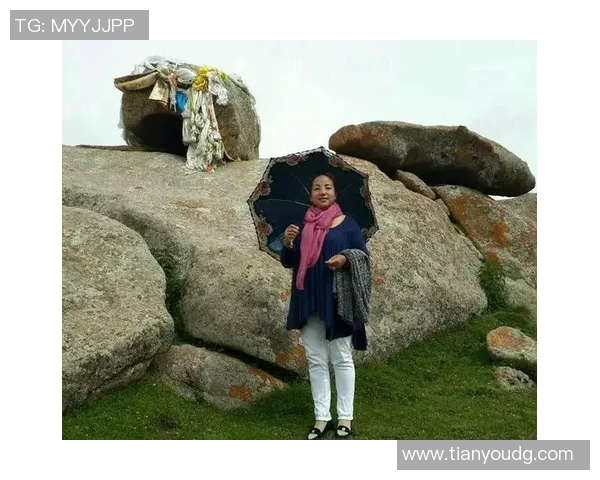 武汉攀岩队技术探讨与训练心得分享的精彩之旅