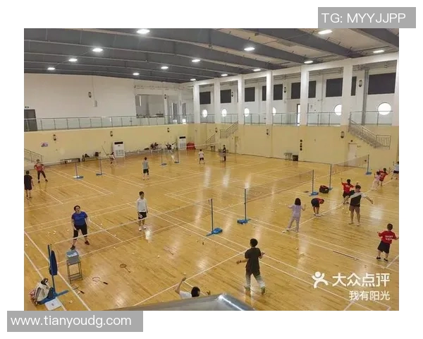 深入分析上海羽毛球队边路渗透战术的优势与应用策略