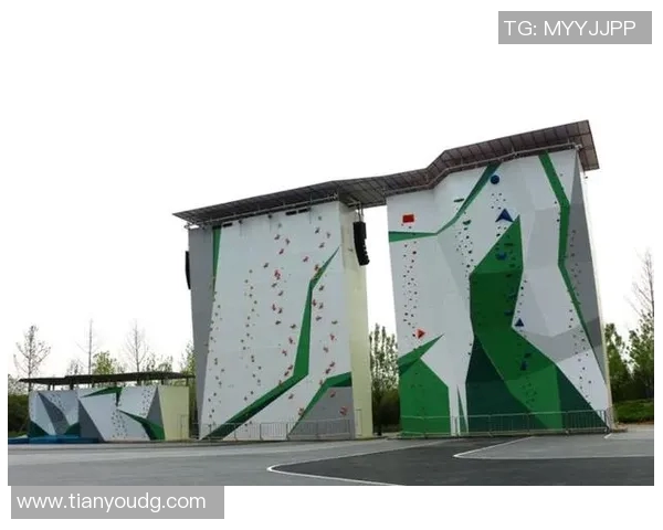 极限运动战术解析上海极限运动队的创新进攻体系与战术布局