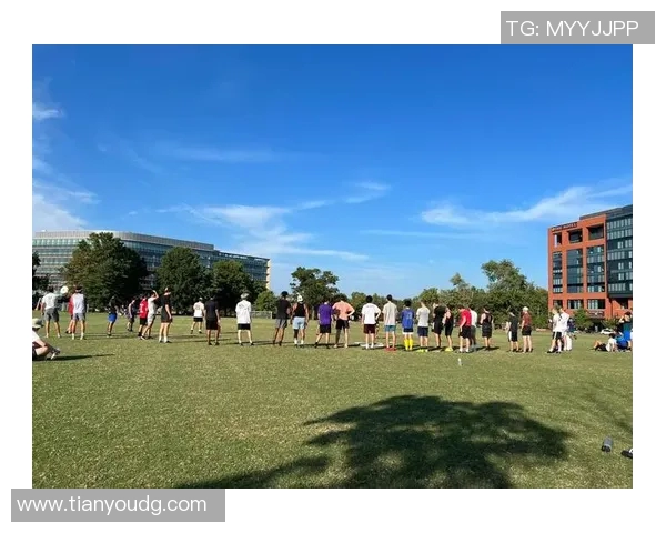 陈伟独家分享飞盘技巧与心得体会助你提升飞盘水平的全面指南