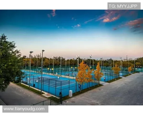 上海网球队实力分析：从青训到职业赛场的全面发展与挑战