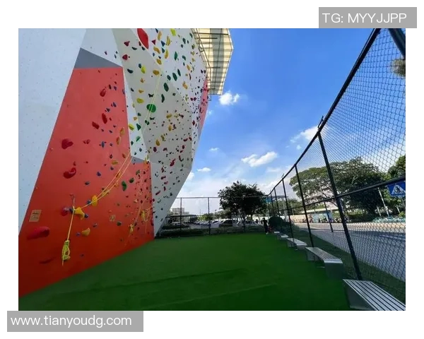 广州攀岩队技术争议引发热议攀岩爱好者的不同声音与看法 广州攀岩队技术争议引发热议攀岩爱好者的不同声音与看法