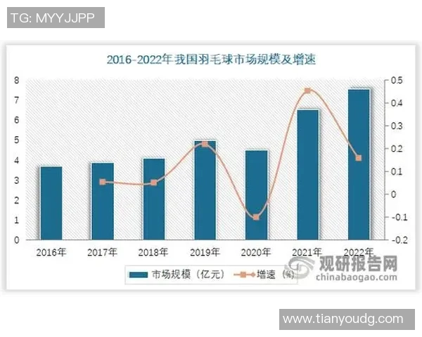 西安羽毛球队技术表现数据分析与提升策略探讨 西安羽毛球队技术表现数据分析与提升策略探讨