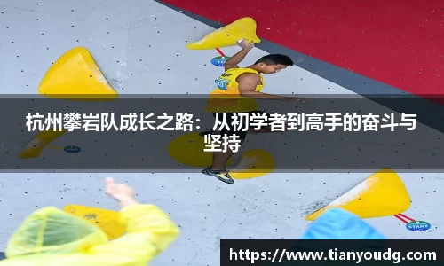 DB电竞官网