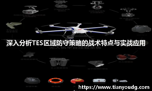 深入分析TES区域防守策略的战术特点与实战应用