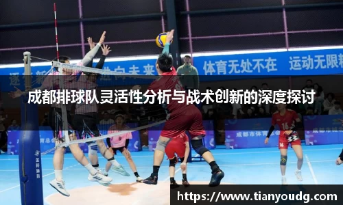 成都排球队灵活性分析与战术创新的深度探讨
