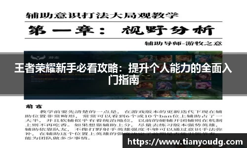 王者荣耀新手必看攻略：提升个人能力的全面入门指南