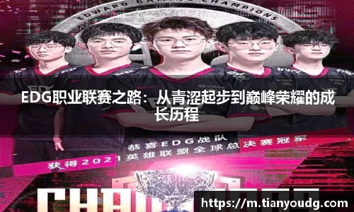 EDG职业联赛之路：从青涩起步到巅峰荣耀的成长历程