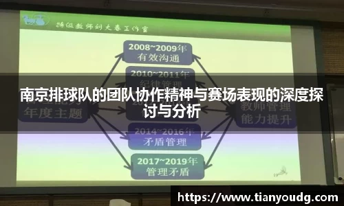 南京排球队的团队协作精神与赛场表现的深度探讨与分析