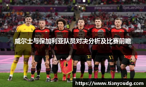 威尔士与保加利亚队员对决分析及比赛前瞻